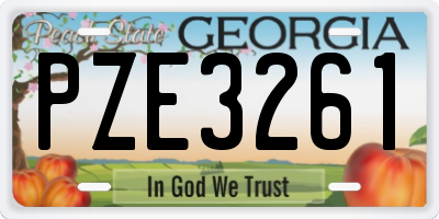 GA license plate PZE3261