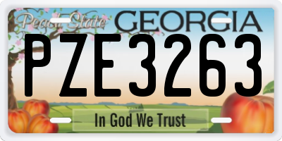 GA license plate PZE3263