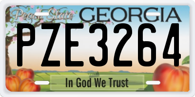 GA license plate PZE3264