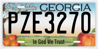 GA license plate PZE3270