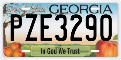 GA license plate PZE3290