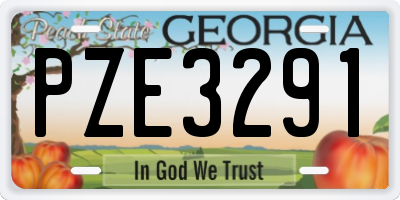 GA license plate PZE3291