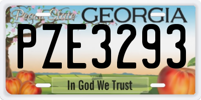 GA license plate PZE3293