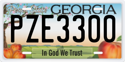 GA license plate PZE3300