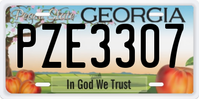 GA license plate PZE3307