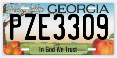 GA license plate PZE3309