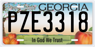 GA license plate PZE3318
