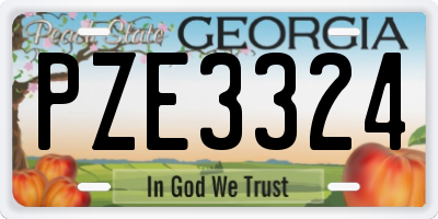 GA license plate PZE3324