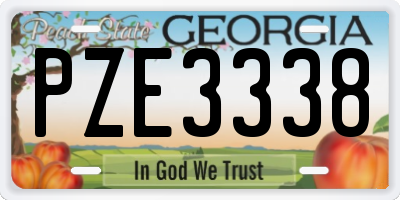 GA license plate PZE3338