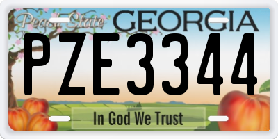 GA license plate PZE3344