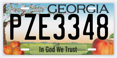 GA license plate PZE3348