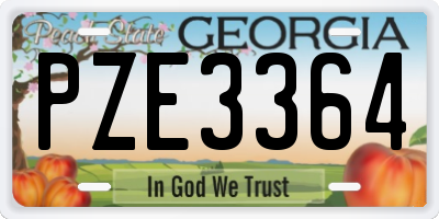 GA license plate PZE3364