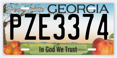 GA license plate PZE3374