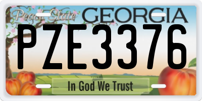 GA license plate PZE3376