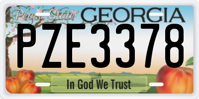 GA license plate PZE3378