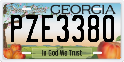GA license plate PZE3380