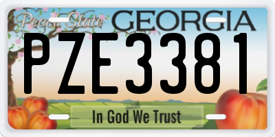 GA license plate PZE3381