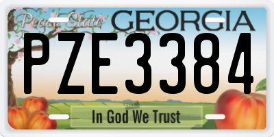 GA license plate PZE3384