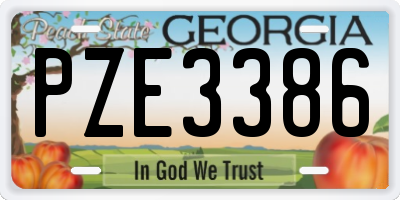GA license plate PZE3386