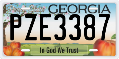 GA license plate PZE3387
