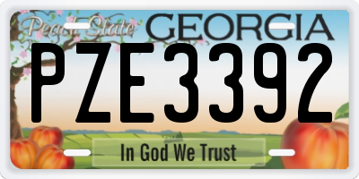 GA license plate PZE3392