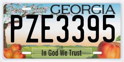 GA license plate PZE3395