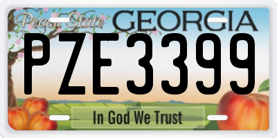 GA license plate PZE3399