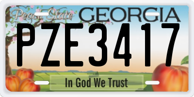 GA license plate PZE3417
