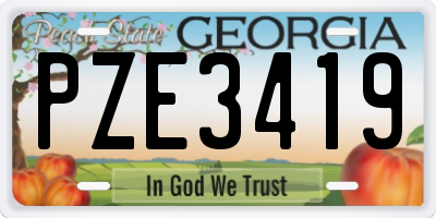GA license plate PZE3419