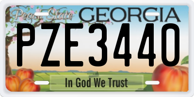 GA license plate PZE3440
