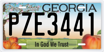 GA license plate PZE3441