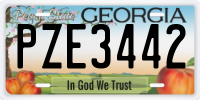 GA license plate PZE3442