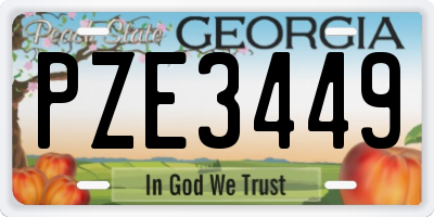 GA license plate PZE3449
