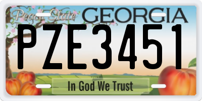 GA license plate PZE3451