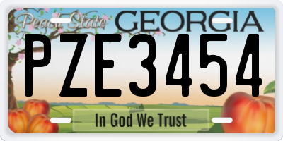 GA license plate PZE3454