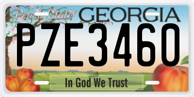 GA license plate PZE3460