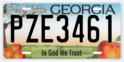 GA license plate PZE3461