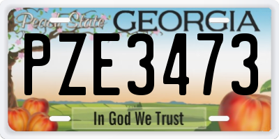 GA license plate PZE3473