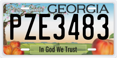 GA license plate PZE3483
