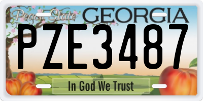 GA license plate PZE3487