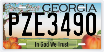GA license plate PZE3490