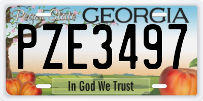 GA license plate PZE3497