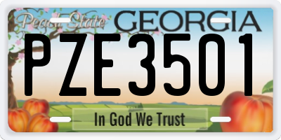 GA license plate PZE3501