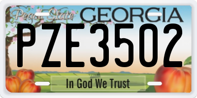 GA license plate PZE3502