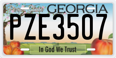 GA license plate PZE3507