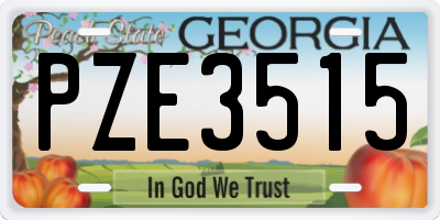 GA license plate PZE3515