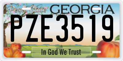 GA license plate PZE3519