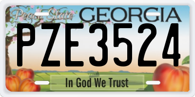 GA license plate PZE3524