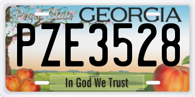 GA license plate PZE3528