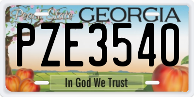 GA license plate PZE3540